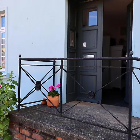 Modern With Garden In Apartment