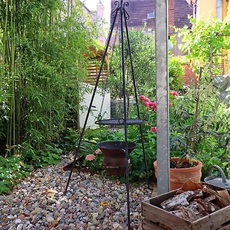 Modern With Garden In *