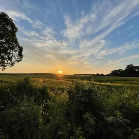 아파트 In Mit Garten Wißmar
